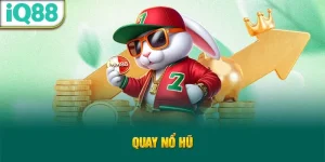 quay-no-hu_35_11zon